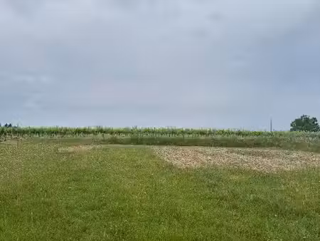 vente terrain 600 m² à la lande-de-fronsac (33240)  95 000 €