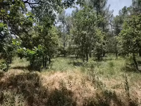vente terrain 655 m² à garéoult (83136)  134 000 €