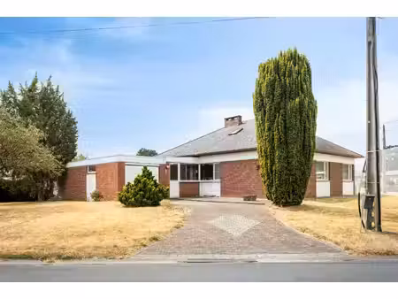 dewaele real estate nv