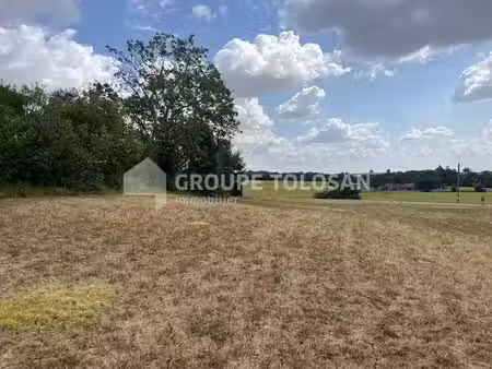 terrain