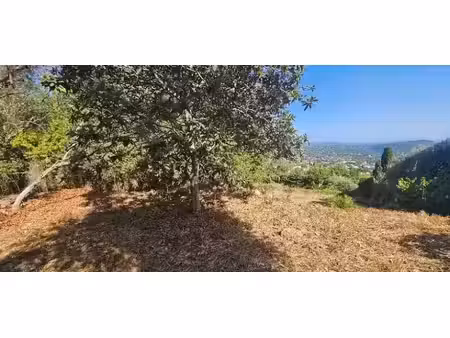vente terrain 1039 m² à spéracèdes (06530)  250 000 €