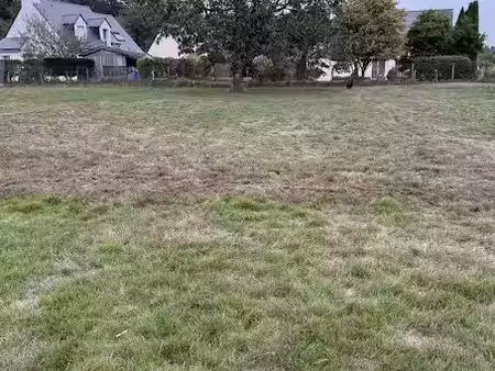 vente terrain 945 m² à saint-avé (56890)  260 900 €