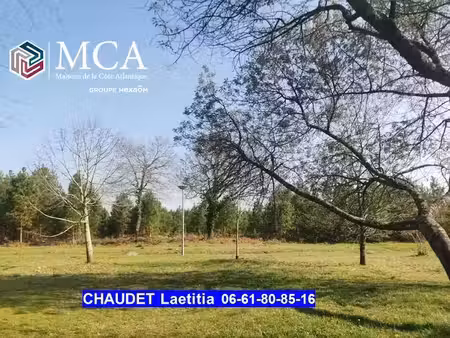 vente terrain 918 m² à andernos-les-bains (33510)  258 500 €