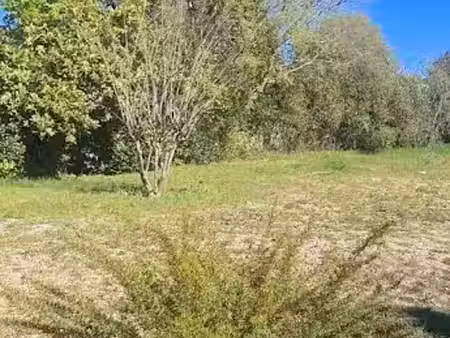 vente terrain 440 m² à le bouscat (33110)  380 000 €