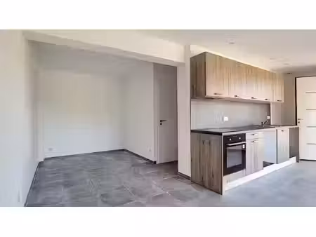 location appartement 2 pièces 48 m² à pietrosella (20166)  900 €