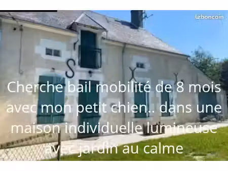 cherche location temporaire