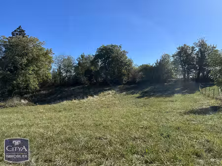 terrain