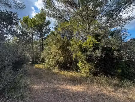 terrain naturel 5 950 m² – fontvieille
