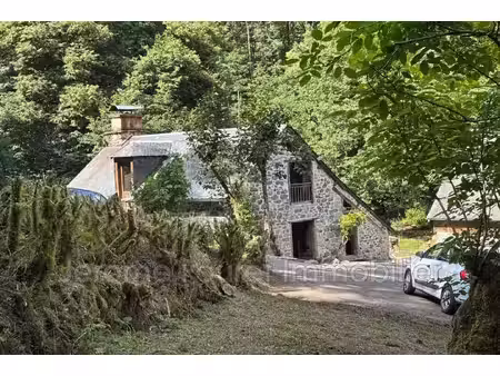 maison à louer