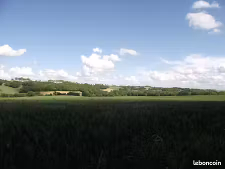 terre agricole
