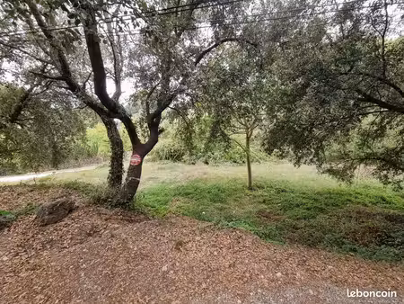 opportunité rare à mouans-sartoux — terrain constructible 1 905 m²