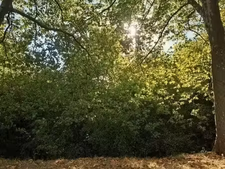 terrain boisé de 1 121 m² en 2 parcelles — crépy (02870)  aisne