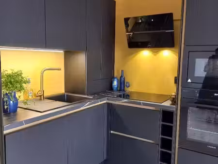 appt 2 pièces  ensoleillé  terrasse 14 m²  parking  cuisine neuve  clim  calme  tbe