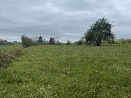 terrain constructible
