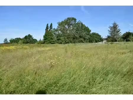 grand terrain a petit prix