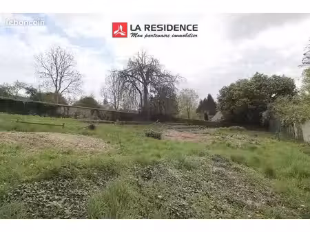 terrain