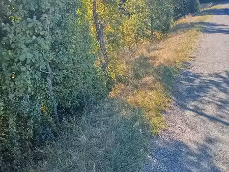 82 moissac vente à terme 450 mensuel sur 60 mois terrain 3 ha 43 a point de vue source pou
