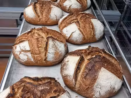 cession boulangerie-pâtisserie bio au levain - de la graine au pain