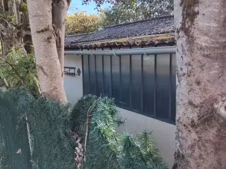 immobilier  cabane de jardin
