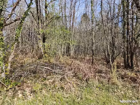 terrain 1 930 m² bassillac