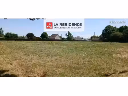 terrain