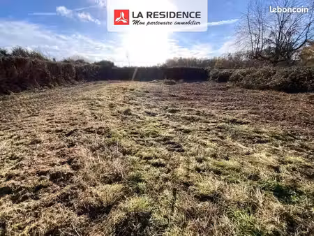 terrain