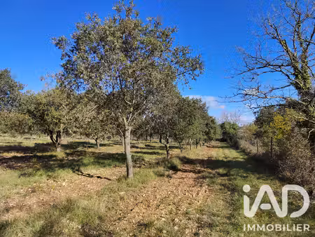 vente truffière 6 000 m²