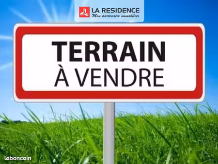 terrain