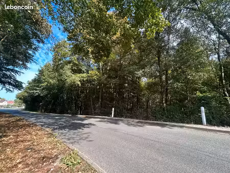 bois de 3906m2 à la sortie de lèves (le gorget)