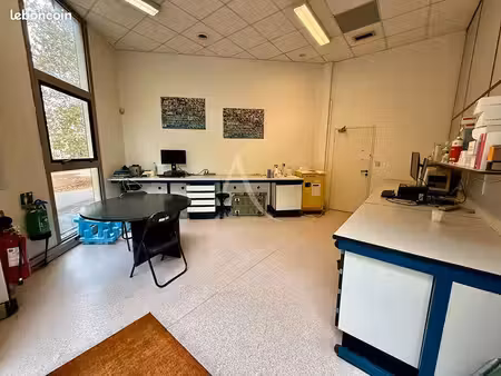 local commercial 73 m² labege