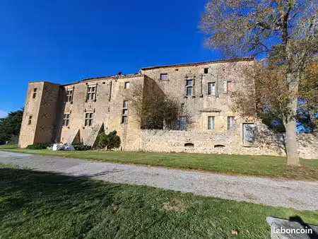 imposant chateau médiéval