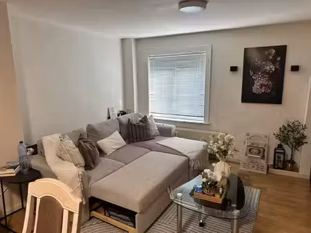 appartement 1 chambre à louer à ronse  epc b