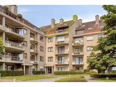 penthouse à vendre avec garage et terrasse   anvers (rbx01922)