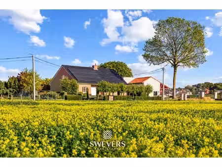 swevers real estate