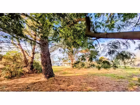 rare - terrain arboré hors lotissement 1873m2