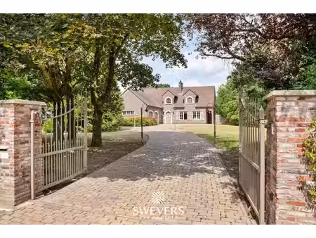swevers real estate