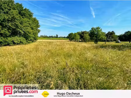 terrain brinay 1242 m2