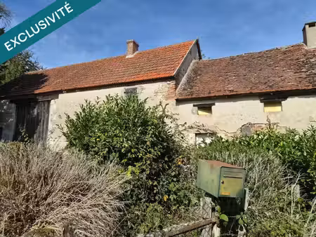 vente maison 2 pièces 36 m² nades (03450)