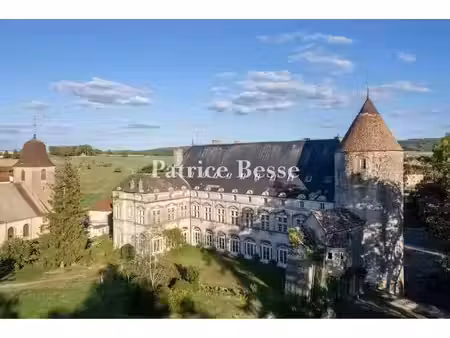 vente château 20 pièces 3000 m² à besançon (25000)  850 000 €