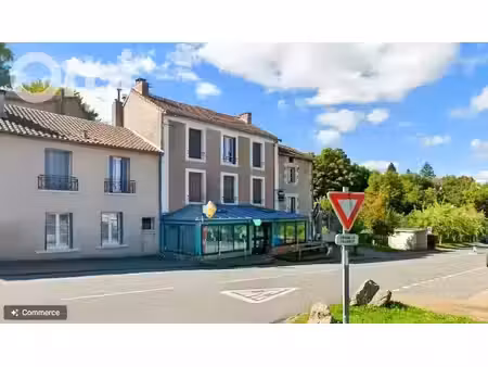 vente immeuble 7 pièces 251 m² à razès (87640)  120 000 €