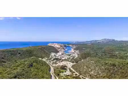 propriété avec piscine et jardin bonifacio (2a)