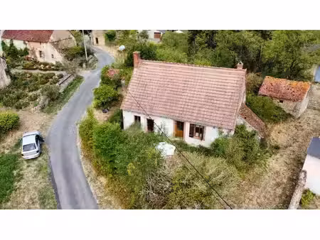 vente maison 1 pièce 87 m² orsennes (36190)