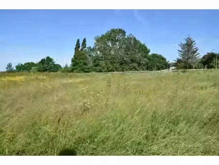 vente terrain 1159 m² à saint-mars-la-jaille (44540)  44 000 €