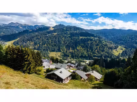 chalet avec permis de construire