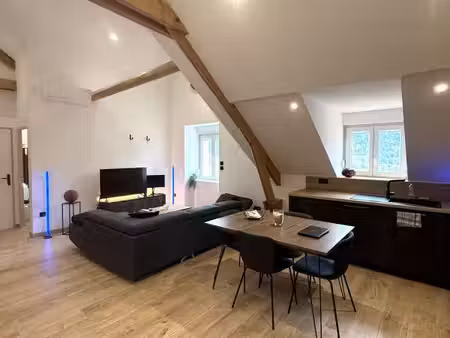 opportunité investisseur : lot de deux appartements rénovés à saisir!