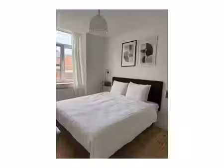 maison en colocation à rue de chambéry etterbeek (vbe73538)