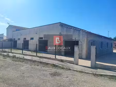 vente commerce saint-martin-de-crau 13310 143m²