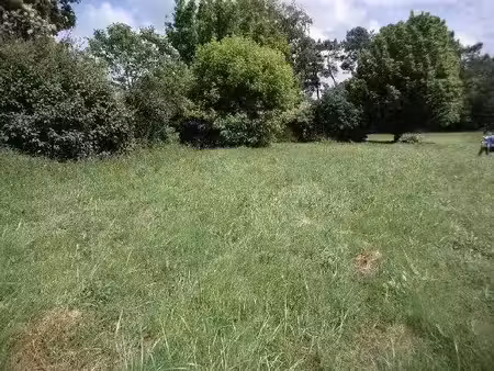 terrain construction