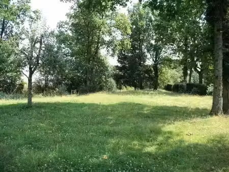 vente terrain 600 m² sainte-eulalie (33560)