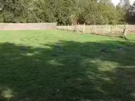 vente terrain 1500 m² pineuilh (33220)